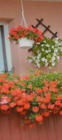 Nagrody za najpiękniejszy dom, balkon, otoczenie