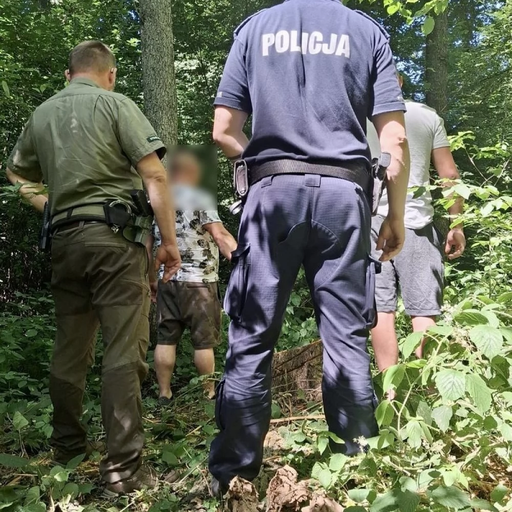 Mundurowi ujawnili nielegalną wycinkę drzew