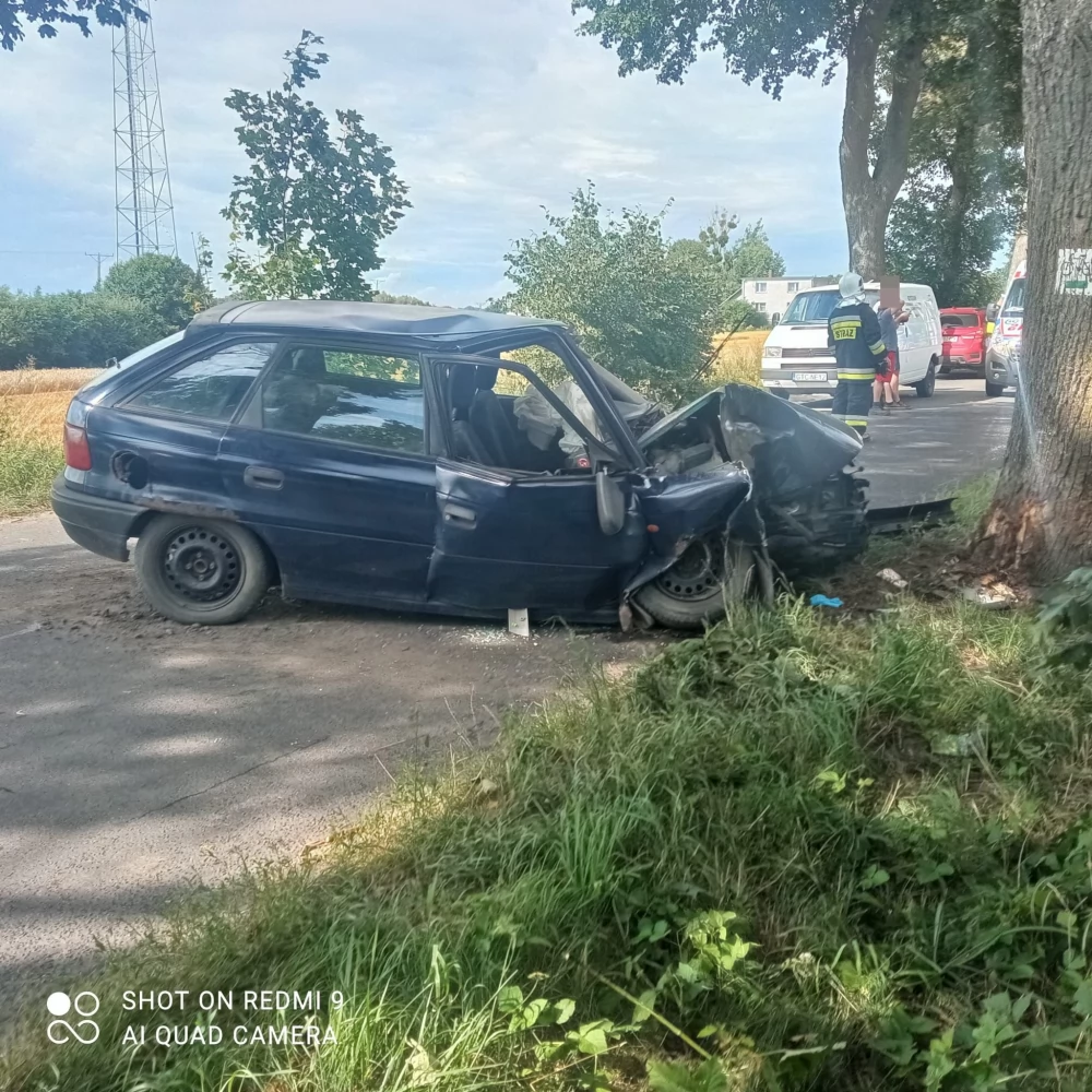 Auto wjechało w drzewo - poszkodowane 4-letnie dziecko