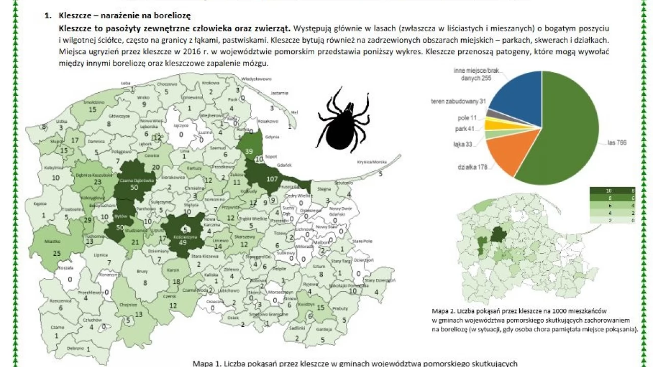 Mapa pokąsań kleszczy. Gdzie najwięcej tych groźnych pajęczaków?