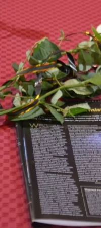 Podczas październikowej sesji w miejscu, gdzie zwyczajowo zasiadał wiceburmistrz, położono białe róże