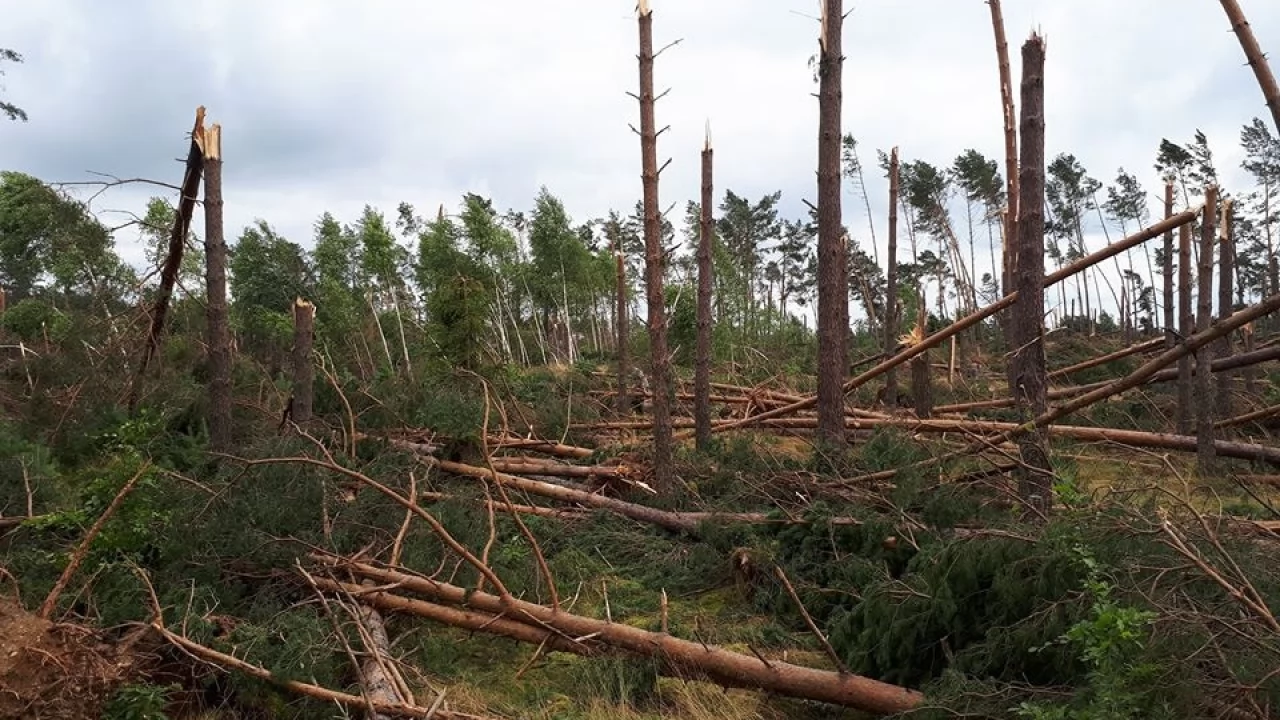 Ostatnie dni to okres wytężonej pracy dla energetyków i strażaków