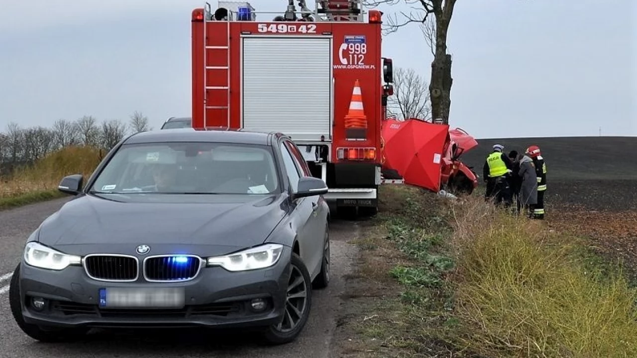 Tragedia za tragedią. Już osiem osób zginęło w tym roku na drogach