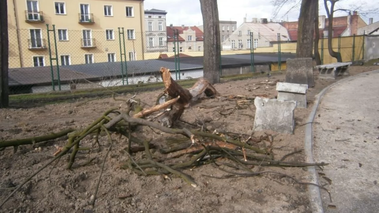 Silny wiatr na Pomorzu - połamane drzewa, domy bez prądu