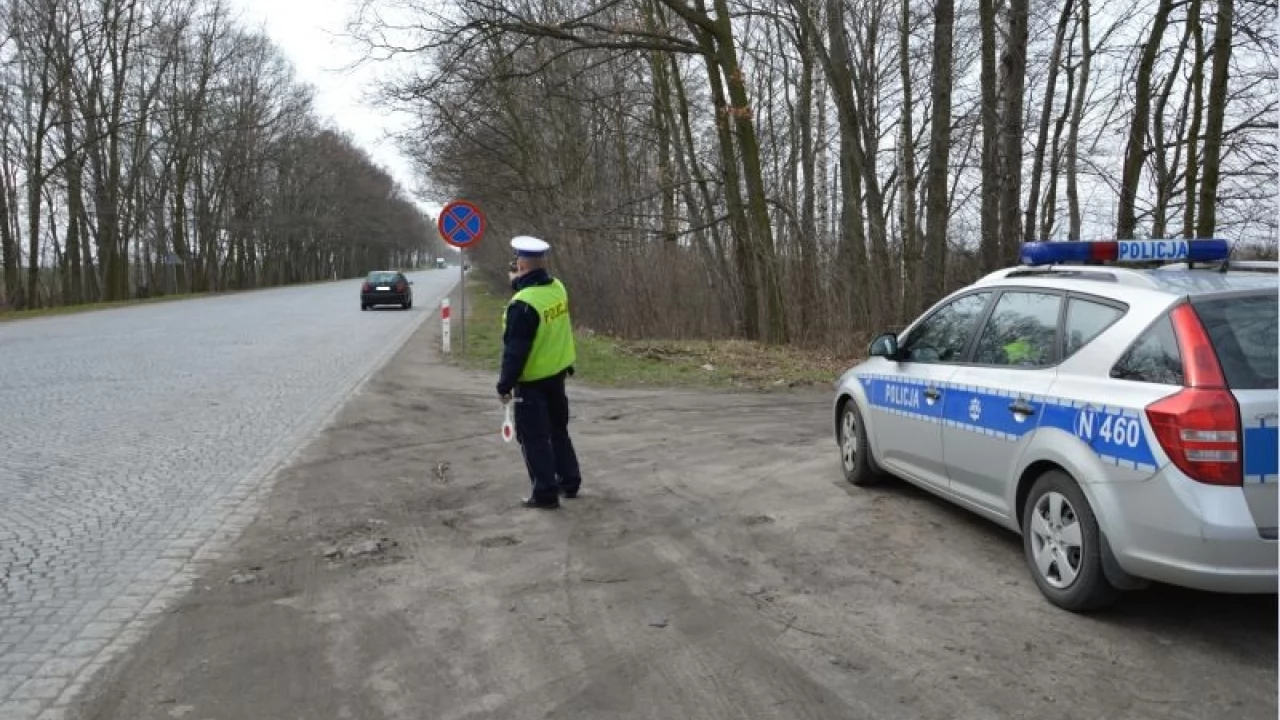 DK22 - aż 88 wypadków na pomorskim odcinku trasy