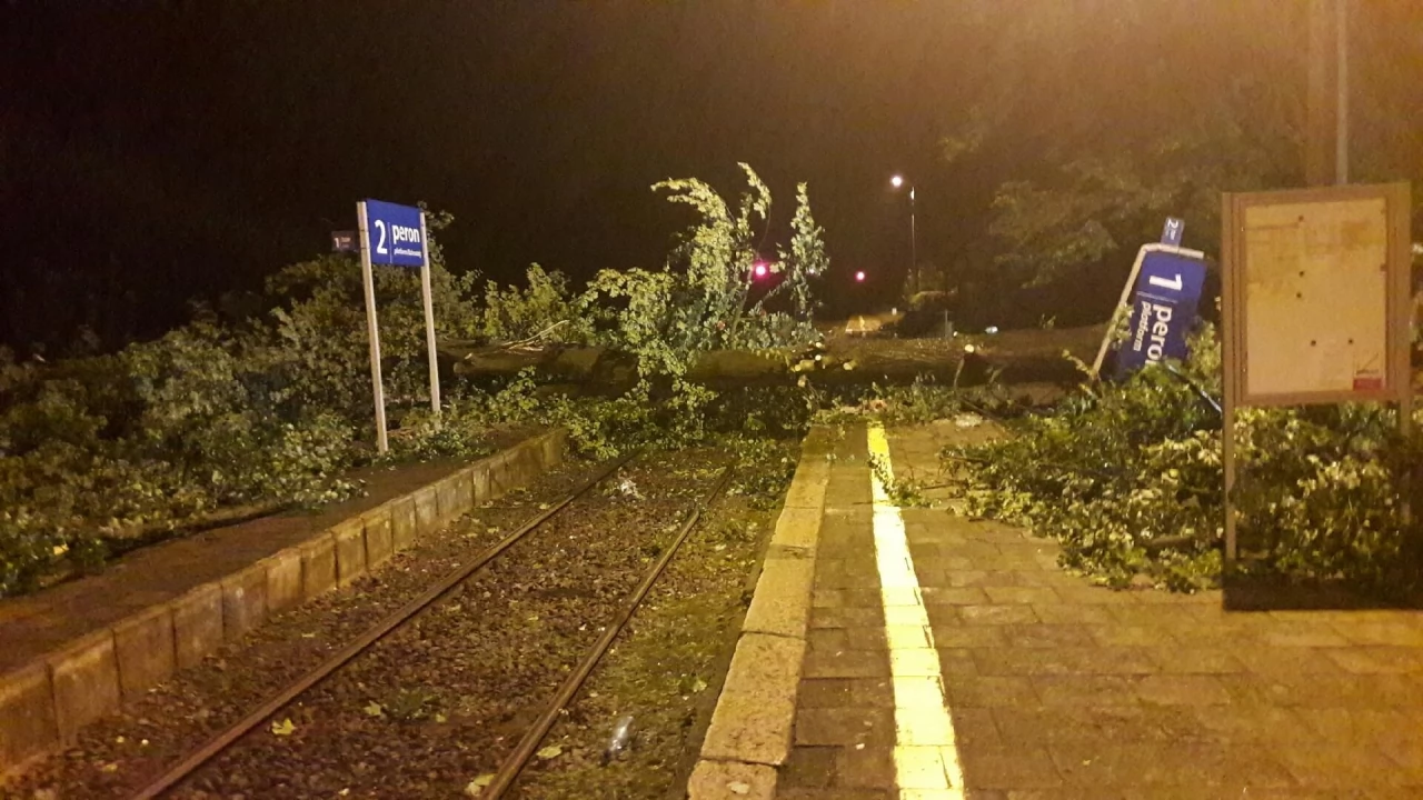 Gwałtowna burza na Pomorzu. Tysiące osób bez prądu, powalone drzewa
