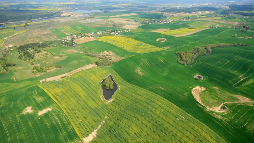 Wieś, pola
