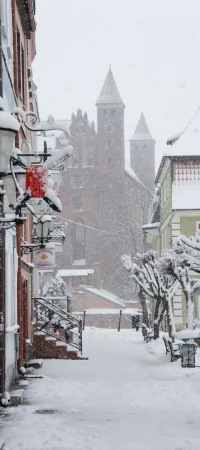 Gniew zimą