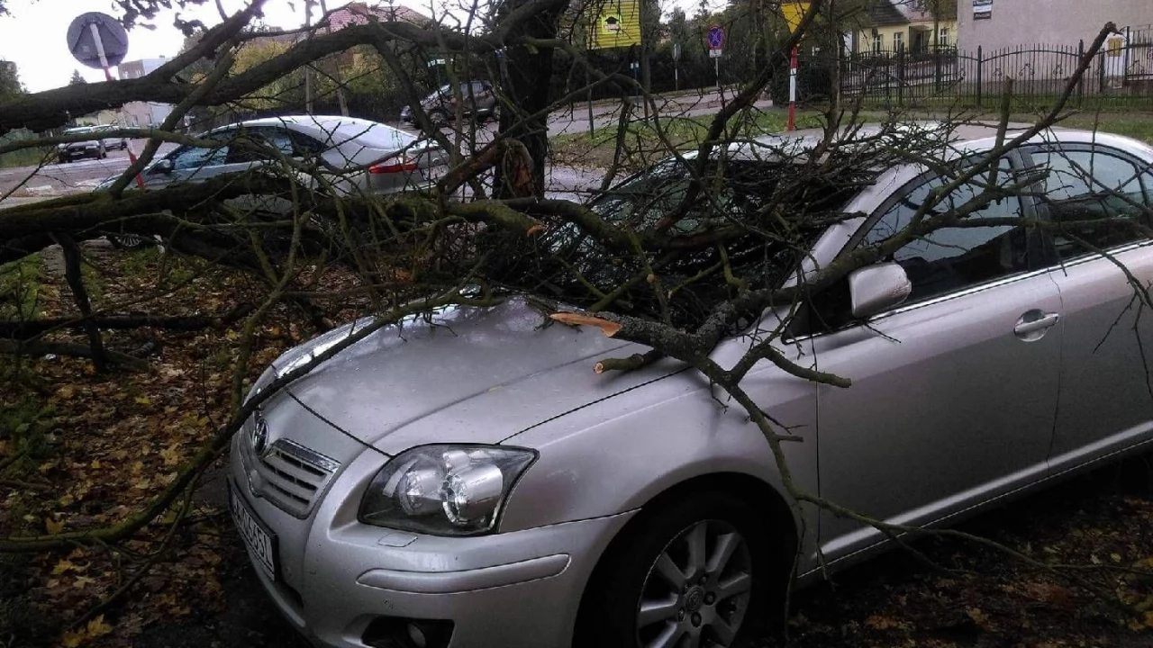 "Prosimy o zachowanie ostrożności". Drzewa na drogach po silnych podmuchach wiatru