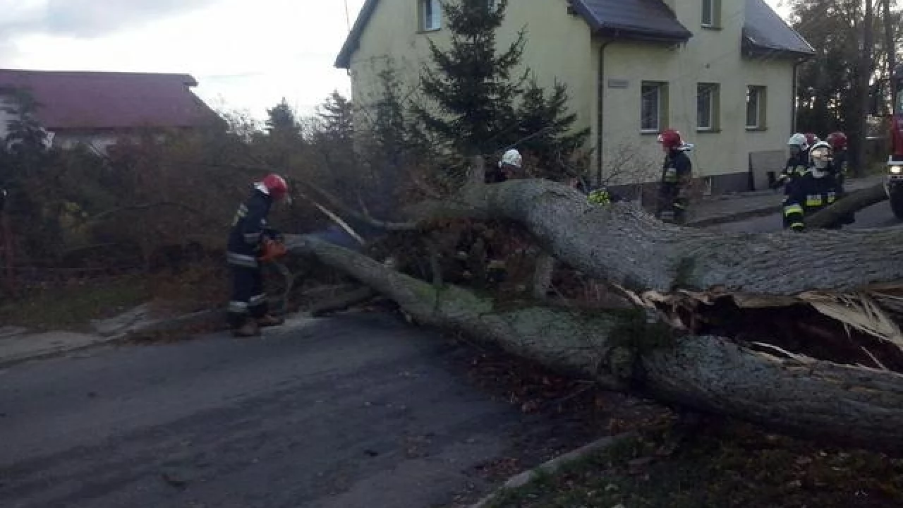 Wichura na Pomorzu. Pracowita niedziela dla strażaków i energetyków