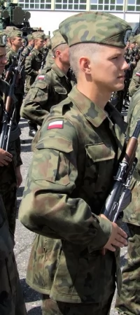 Wojsko