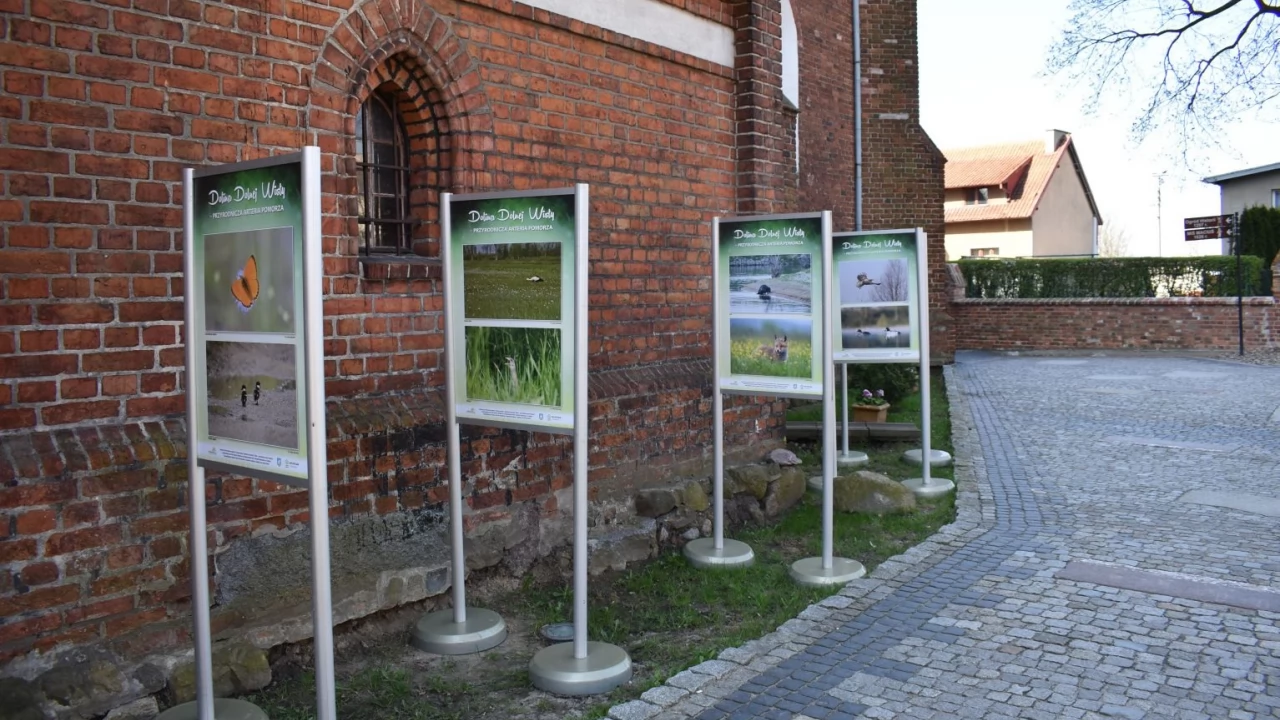 Urzekająca przyroda zachwyca przy gniewskim kościele