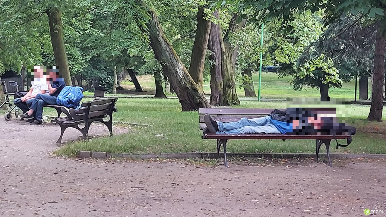 Ławki dla bezdomnych i "podchmielonych", czy nie?
