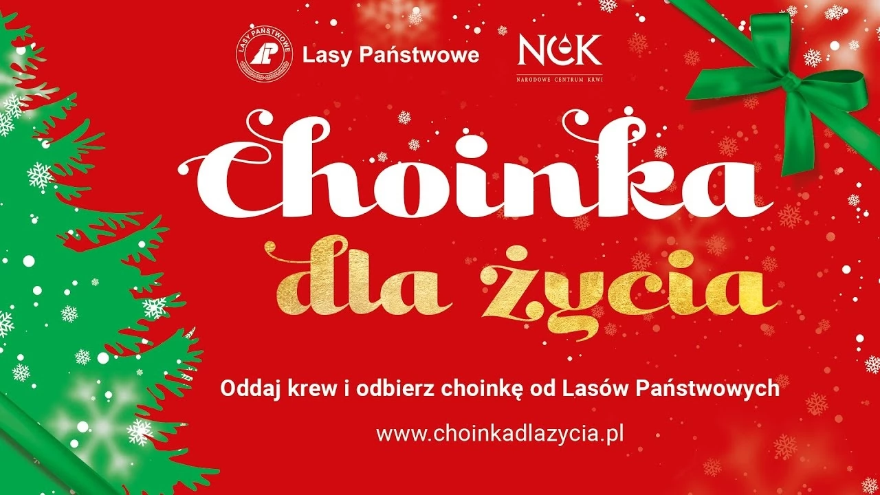 Choinka dla życia - leśnicy przygotowali niespodziankę dla dawców krwi