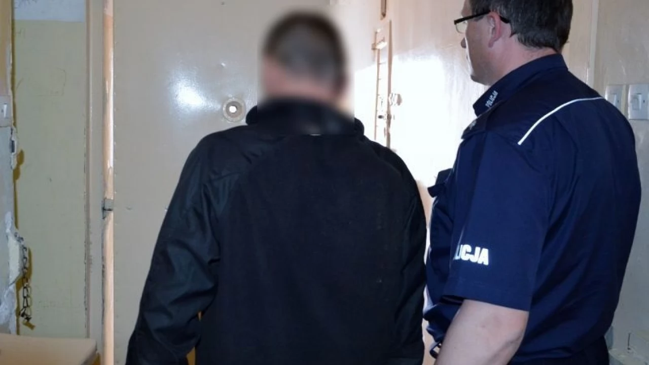 Dodatkowe zarzuty dla 33-latka - kradzież i usunięcie VIN