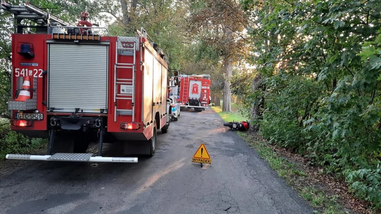 Motocyklista wjechał w drzewo - miał sądowy zakaz prowadzenia pojazdów
