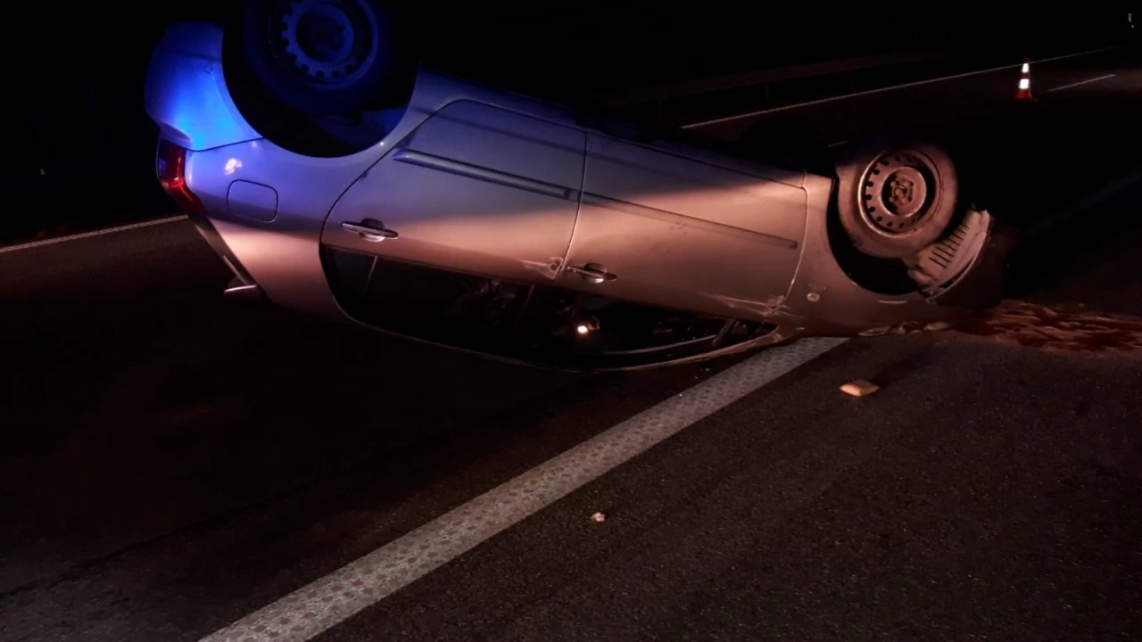Łoś na A1. Pięć samochodów wypadło z trasy, dwie osoby w szpitalu