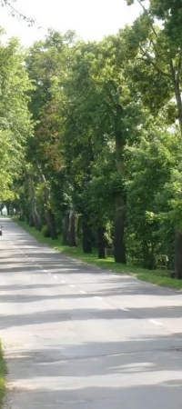 Powiat chce, by trasa w kierunku Bałdowa została zmodernizowana