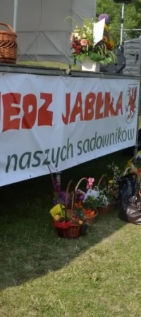Podczas sobotnich dożynek rozdano tonę jabłek