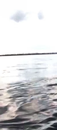 Wisła