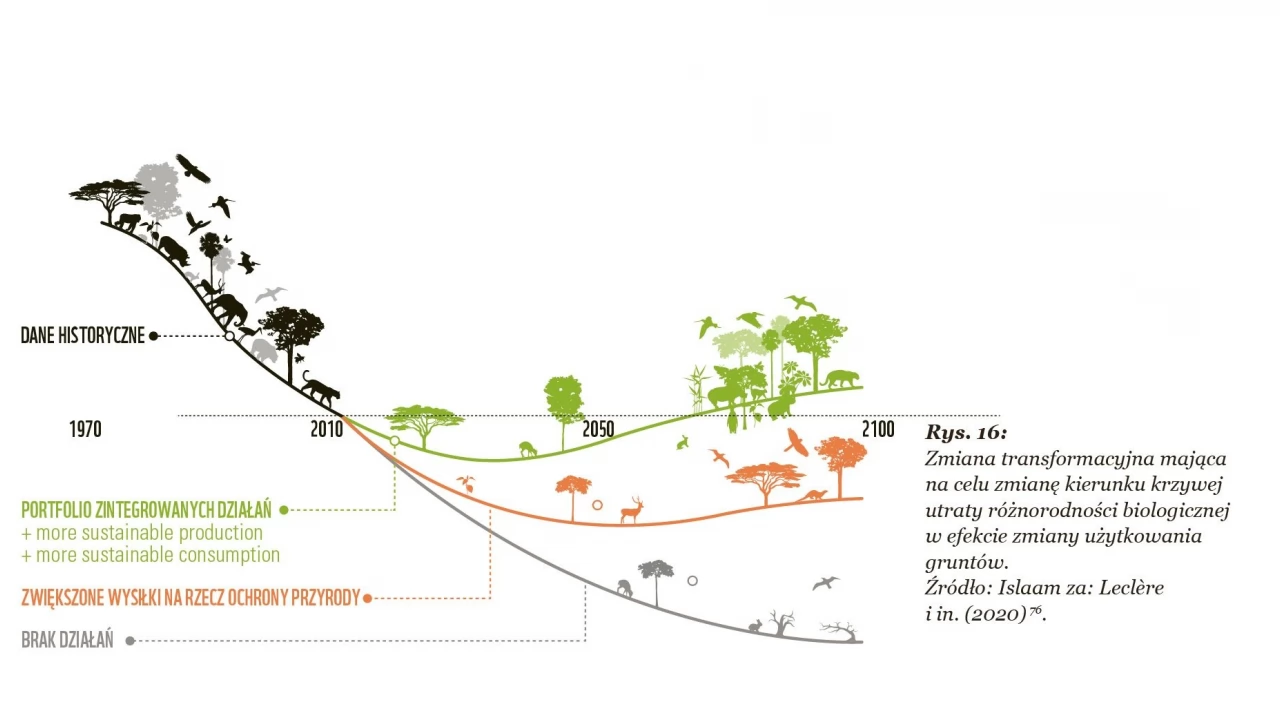 Pozostało nam tylko 31% "żyjącej" Planety. WWF alarmuje o katastrofalnym stanie zasobów