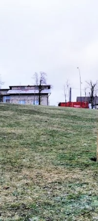 Nowe nasadzenia nie wszystkim się podobają