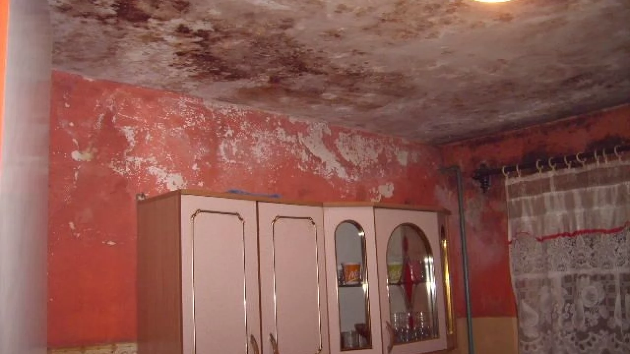 Fundacja Dzieci i Rodzin Ubogich prosi o pomoc dla wielodzietnej rodziny