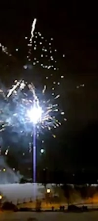 Sylwester 2011