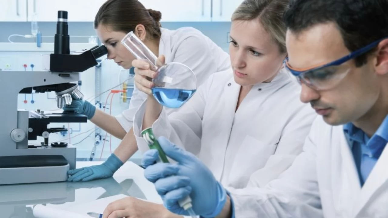 Ruszyła rekrutacja na studia w PWSZ w Elblągu! Są nowości!