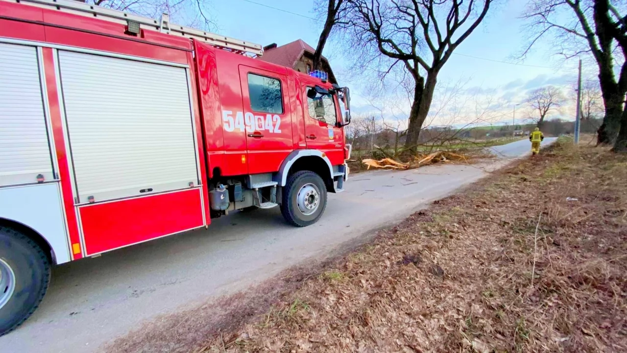 Będzie wiało! "Możliwe przerwy w dostawie prądu"