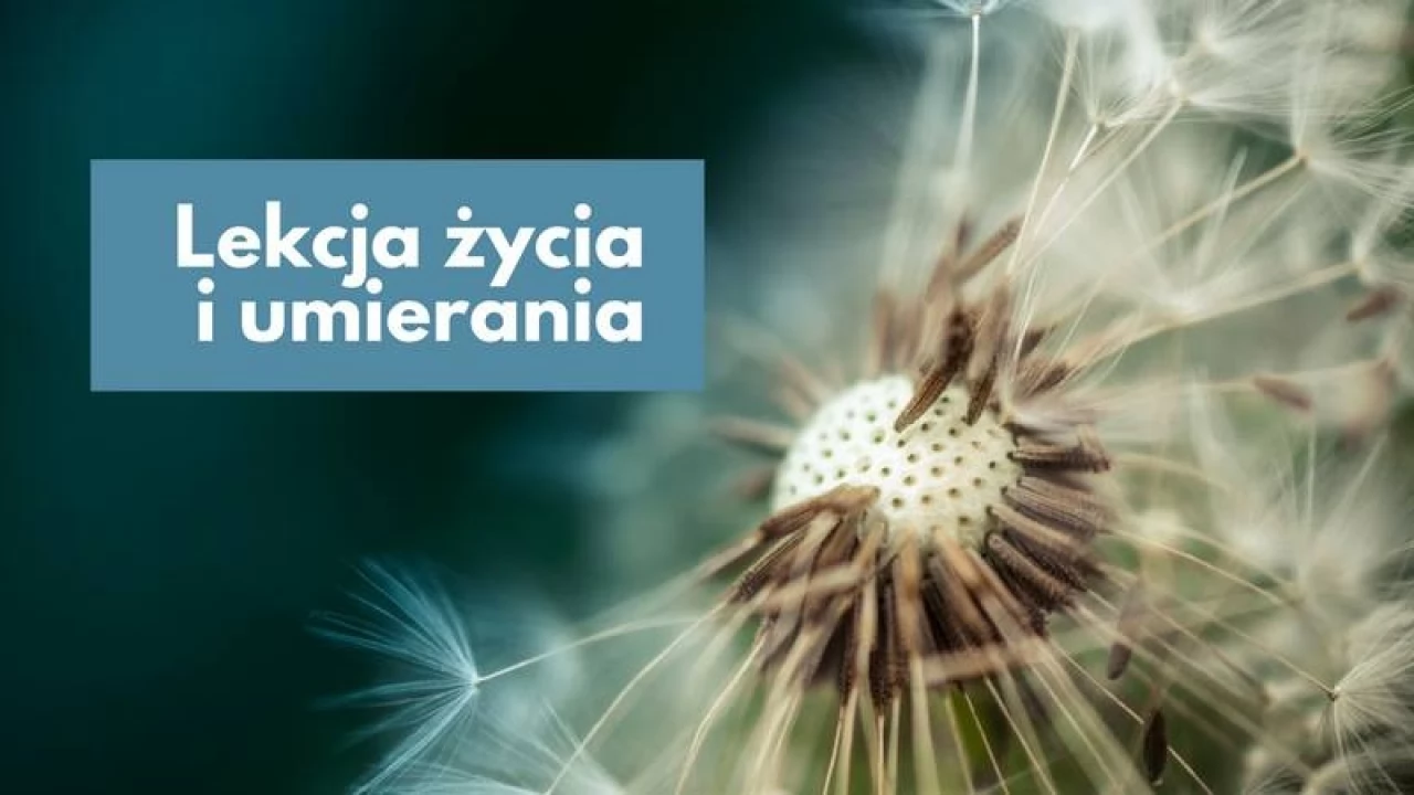 Lekcja życia i umierania. Spotkanie, które daje moc