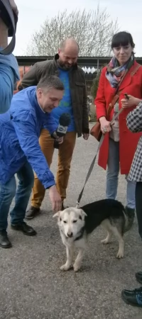 Wrzutek znalazł nowy dom
