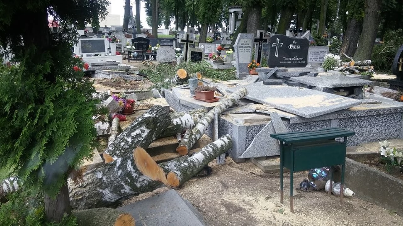 Trwa usuwanie skutków nawałnicy. W Pelplinie przeszła m. in. przez cmentarz