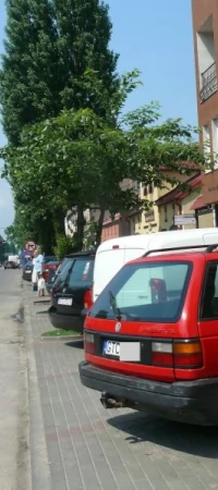 Zdaniem radnego przystanek mógłby powstać mniej więcej w tym miejscu
