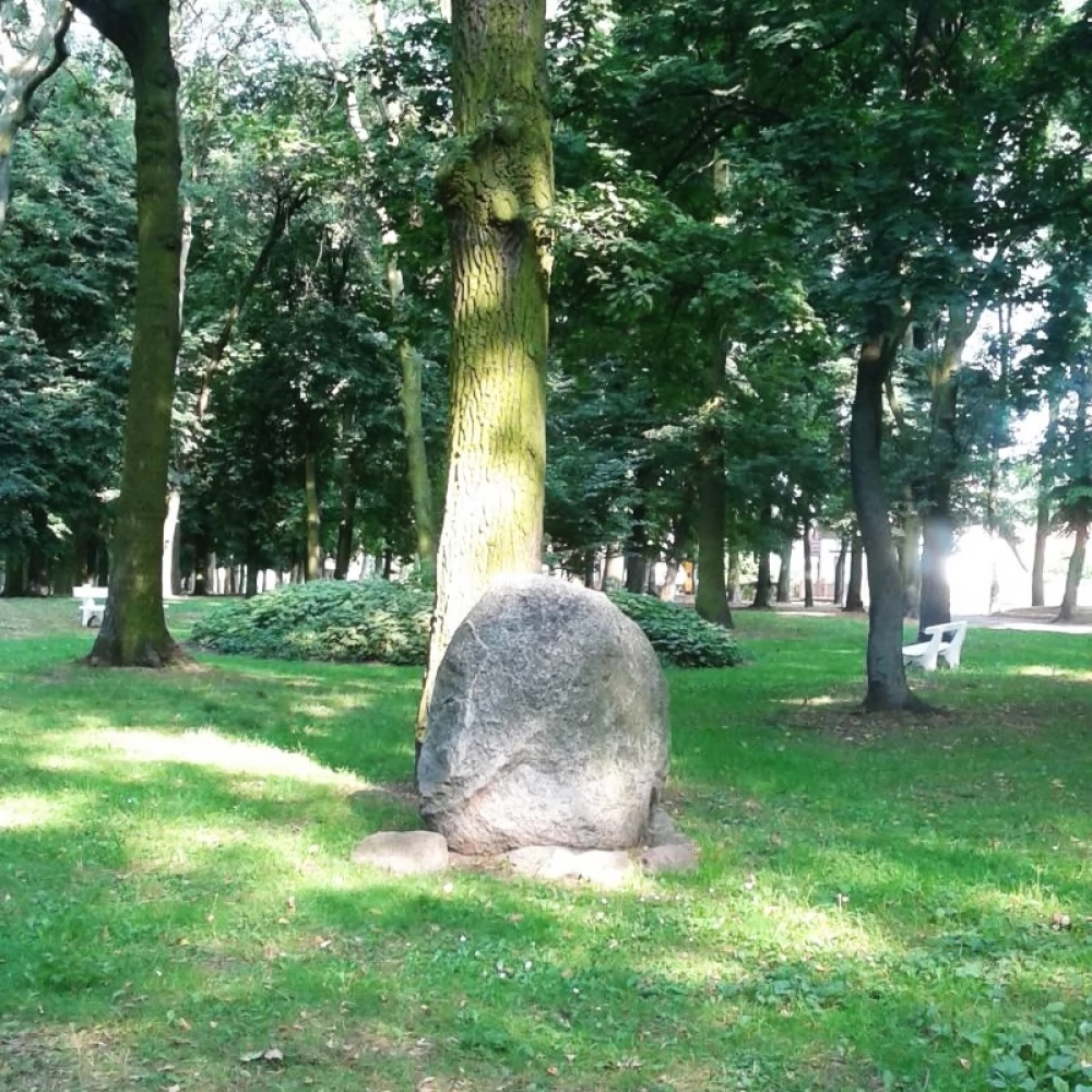 Po stu latach Willy Muscate zostanie upamiętniony w parku