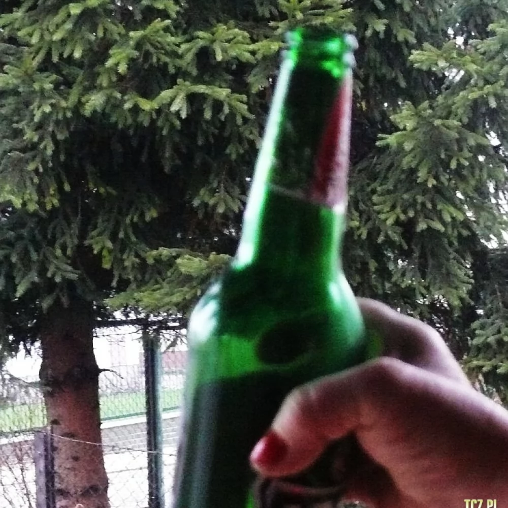 Będzie 5 nowych koncesji na sprzedaż alkoholu