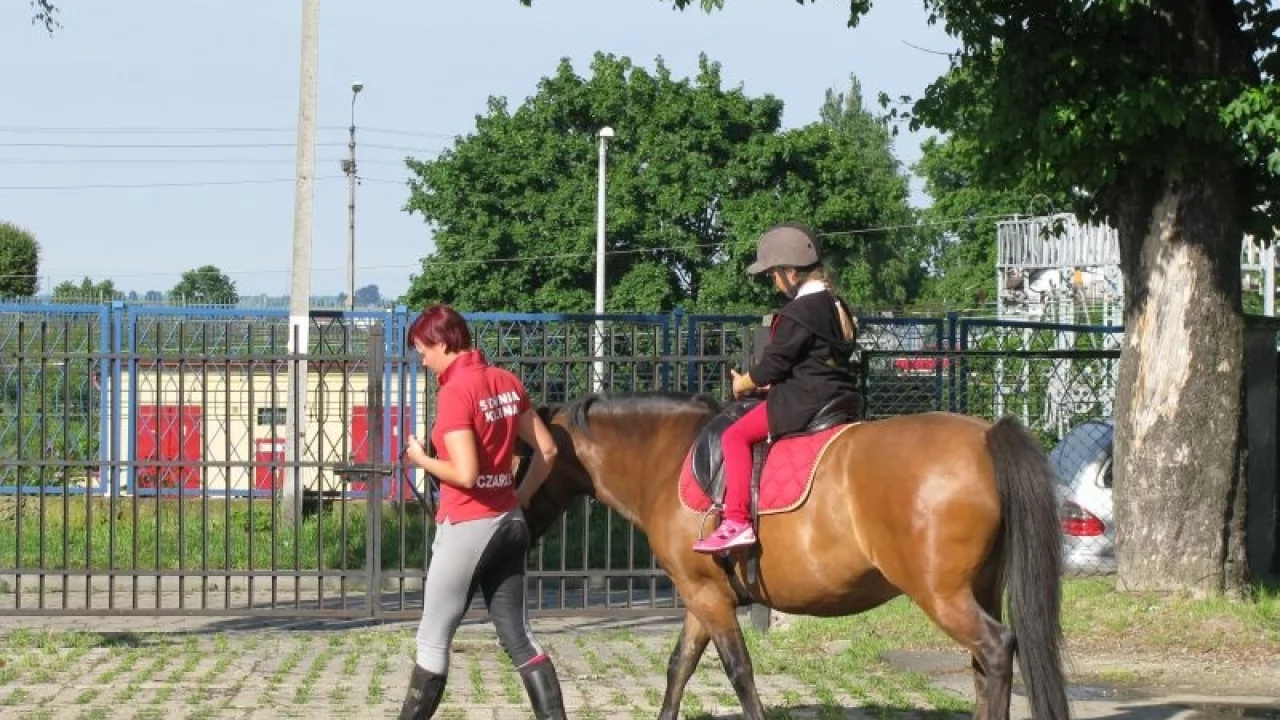 "Żyj Zdrowo i Sportowo" - gimnazjaliści z "dwójki" w akcji