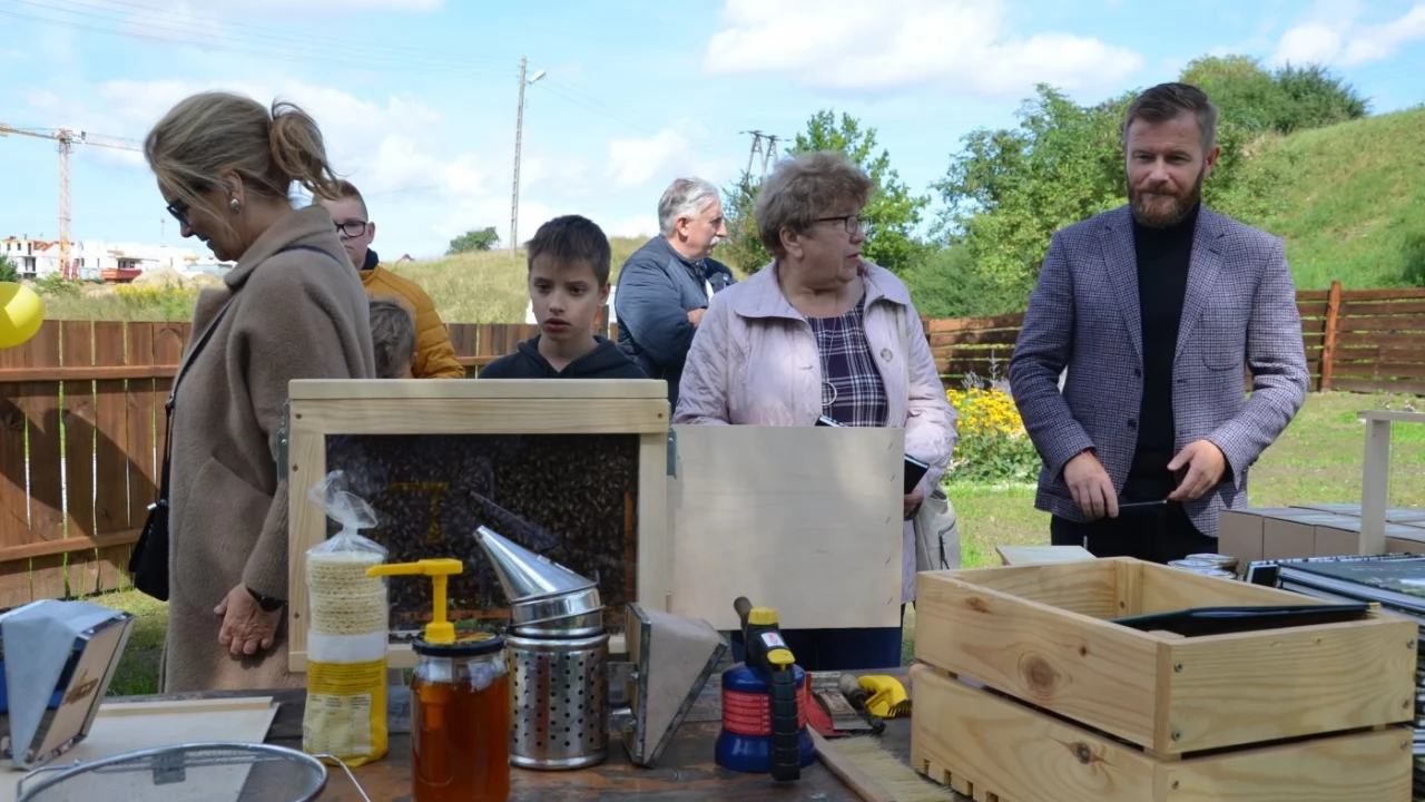Gmina Tczew będzie produkować własny miód