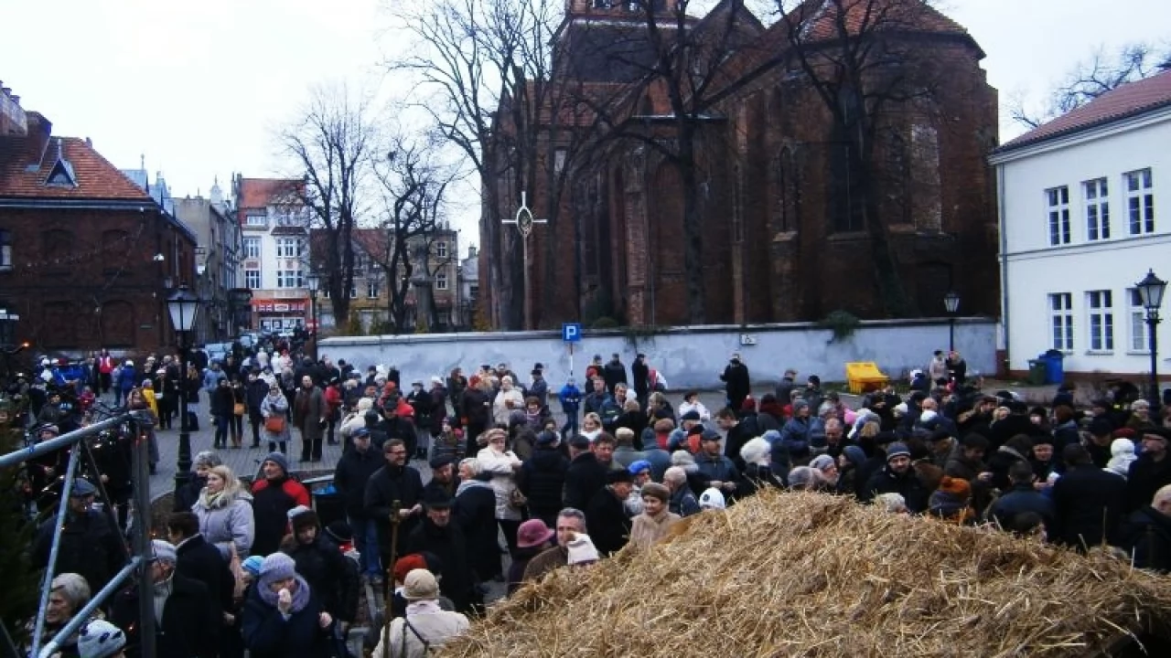 Komunikacją miejską za darmo na spotkanie opłatkowe