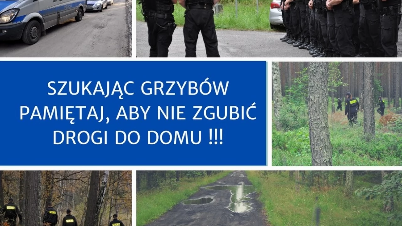 Policjanci apelują - szukając grzybów, nie zgub drogi do domu
