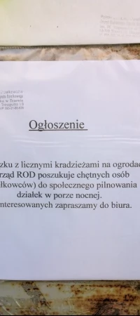 Ogłoszenie