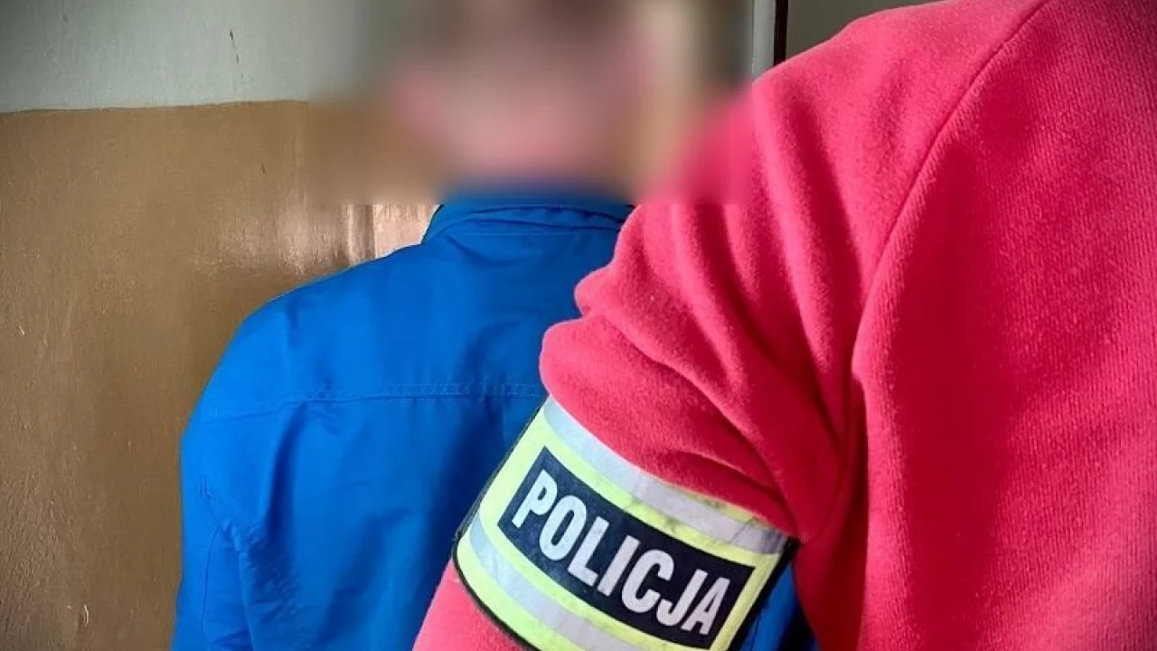 15 lat więzienia za kradzież weków? Najbardziej smakowały mu ogórki