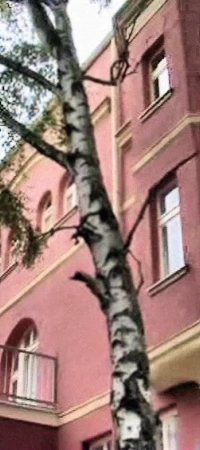 Dom Dziecka