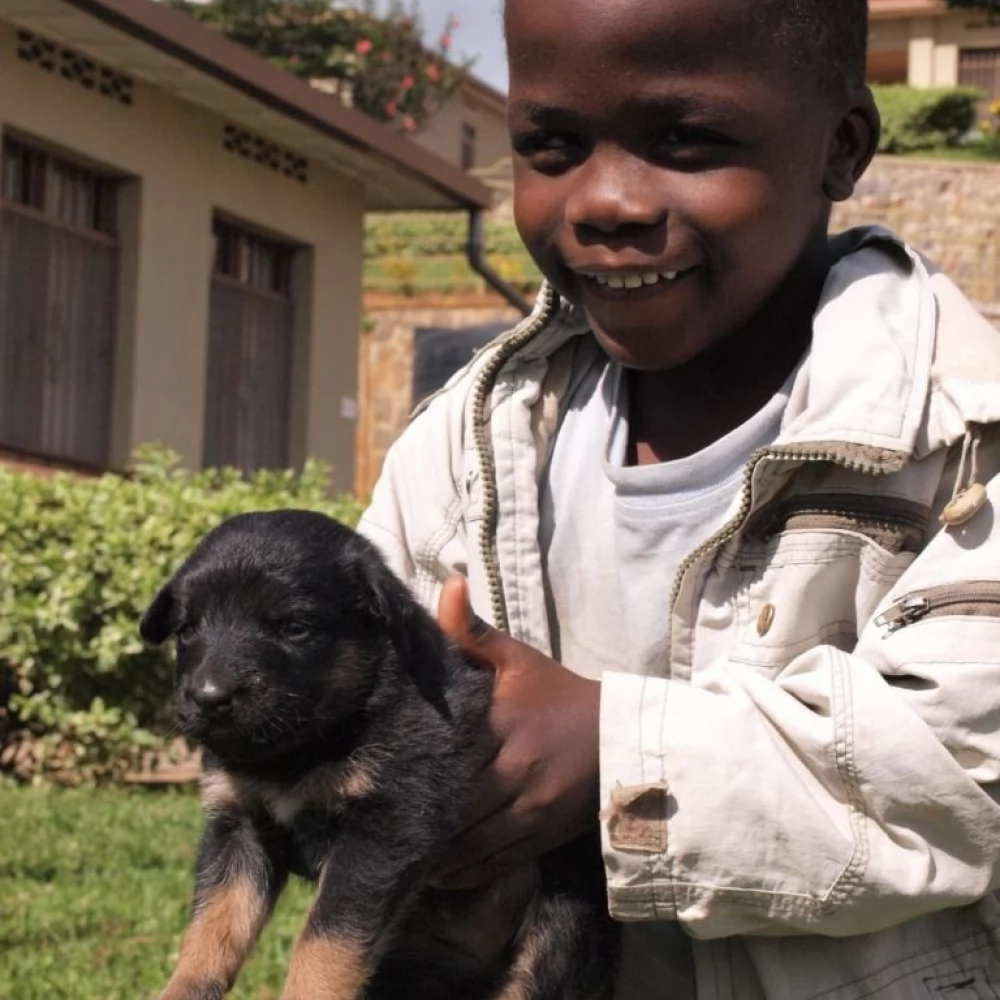 Tczewianin zachęca do adopcji serca. Pomóc może każdy z nas