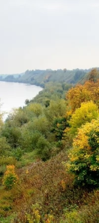 Nadwiślański brzeg