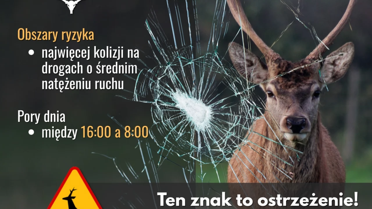 Zwierzęta nie znają znaków drogowych. Zwolnij, bądź czujny