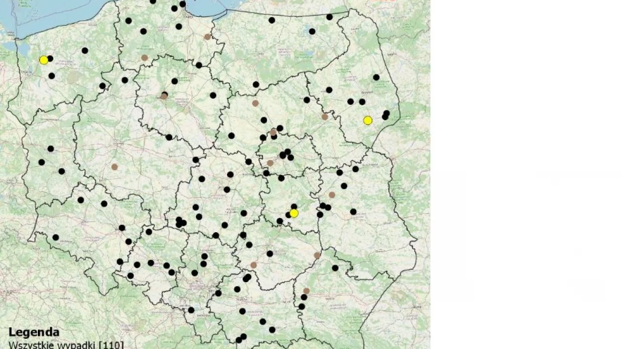 To działa na wyobraźnie. Interaktywna mapa wypadków śmiertelnych