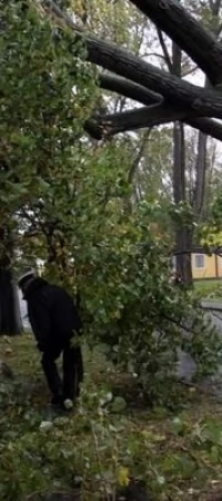 Połamane drzewa po wichurze w Gniewie