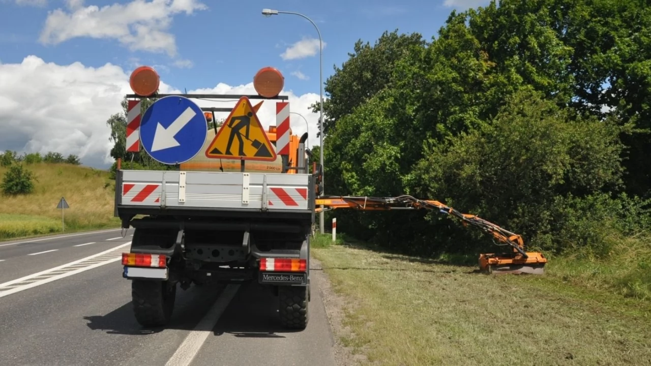 "Stop suszy przy drogach". GDDKiA ograniczy koszenie pasów zieleni