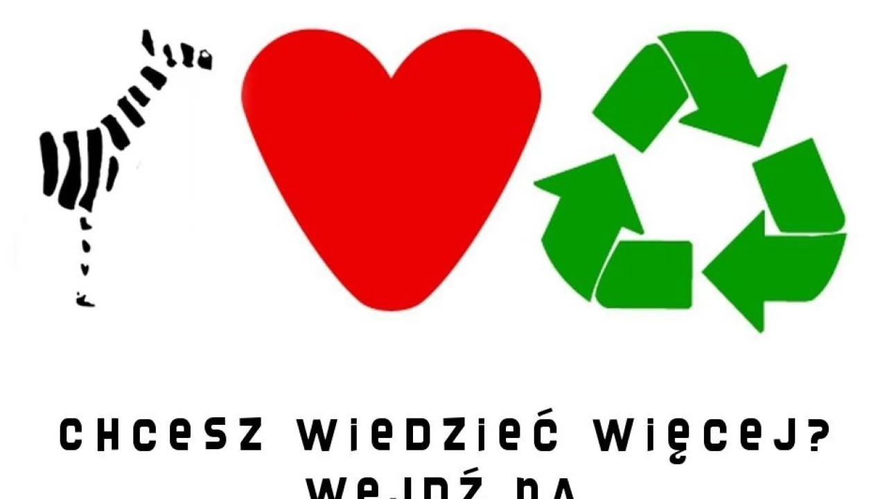 Tczew kocha recykling! Baterie wymieniamy na lizaki